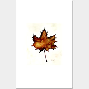 Autumn leaf Posters and Art